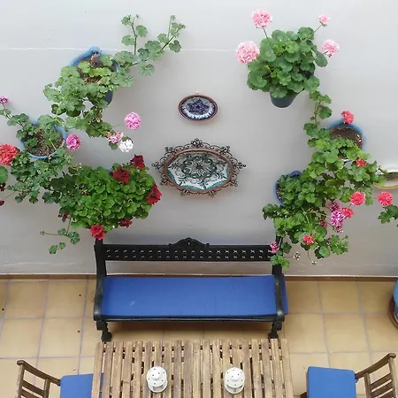 Guest house Azahar 2*