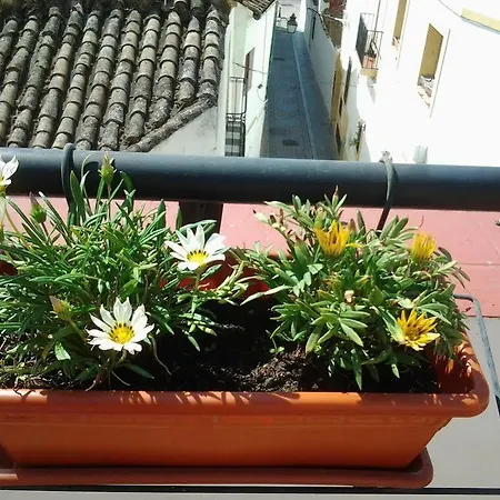 Guest house Azahar Cordoba