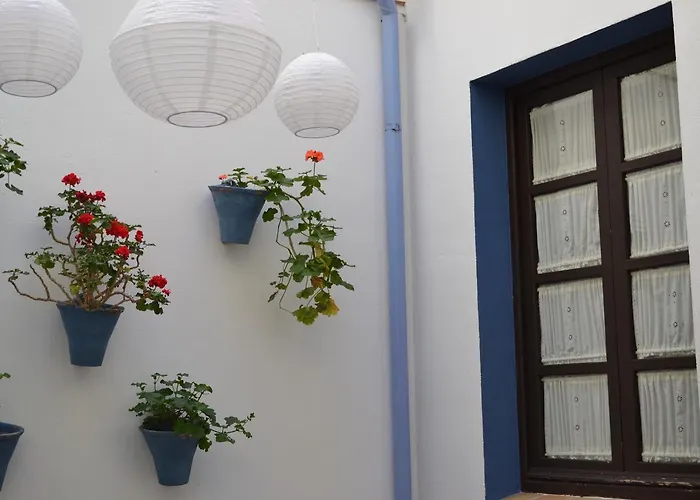 Guest house Azahar 2*