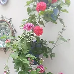 Azahar Guest house