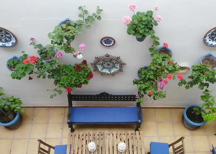 Guest house Azahar 2*