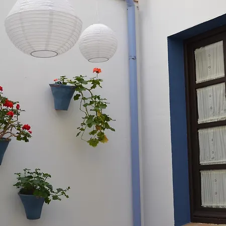 Guest house Azahar 2*