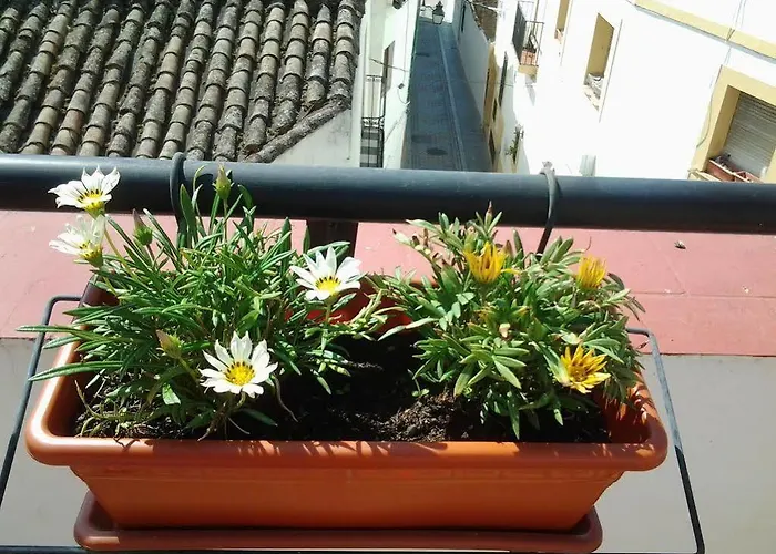 Guest house Azahar Cordoba